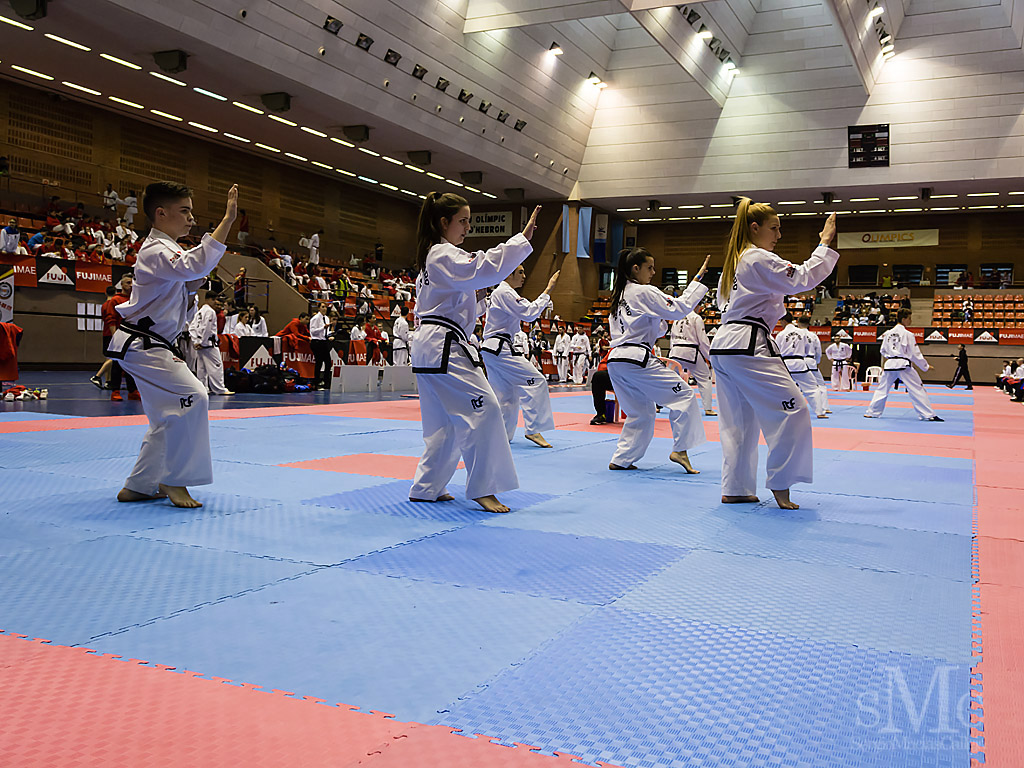 OPEN BARCELONA FUJI MAE CUP 2017_DSC9124_0169.JPG